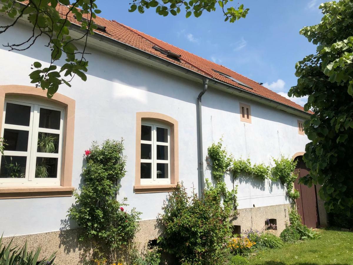Ferienwohnung Maurer Hasborn-Dautweiler Exterior foto