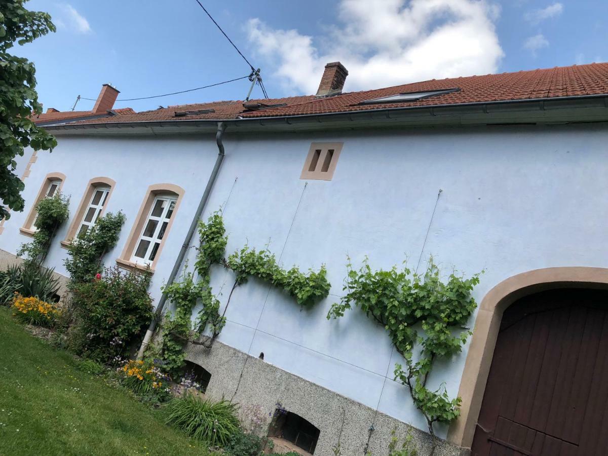 Ferienwohnung Maurer Hasborn-Dautweiler Exterior foto
